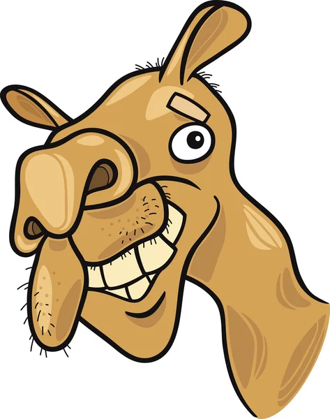 Dromedary camel — Stock Vector