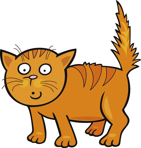 Niedliche kleine Katze — Stockvektor