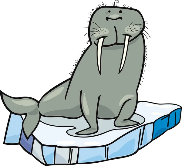 Walrus desenhos animados no gelo flutuante — Vetor de Stock