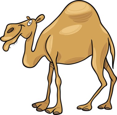 Dromedary camel clipart