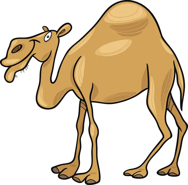 Camel dromadaire — Image vectorielle