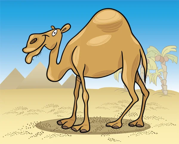 Dromedar Kamel in der Wüste — Stockvektor
