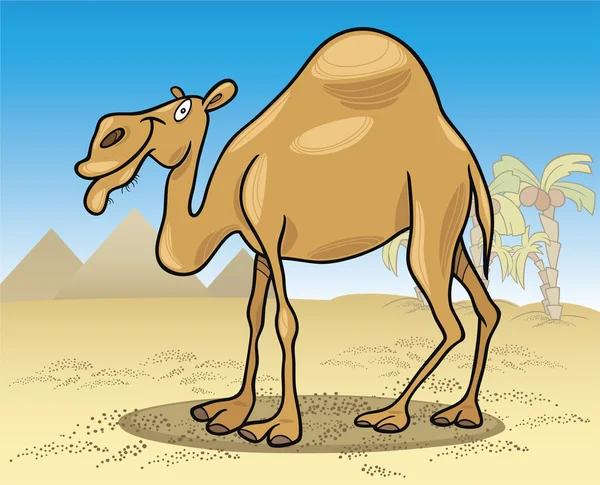 stock vector Dromedary camel on desert