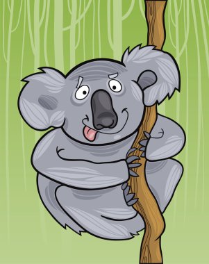 Cartoon koala clipart