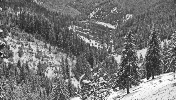 Winterlandschap in giurgeu bergen — Stockfoto