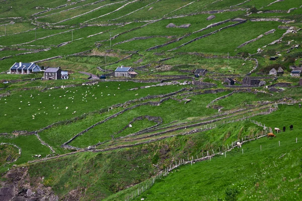 丁格尔半岛的乡村景观 — 图库照片