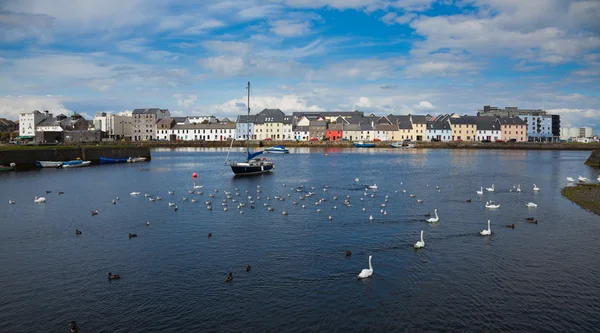 O Galway de Claddagh — Fotografia de Stock