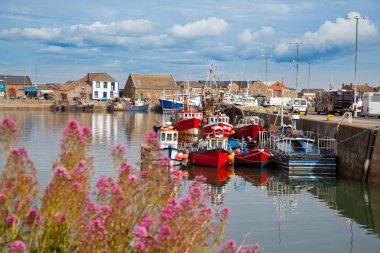 Howth Limanı