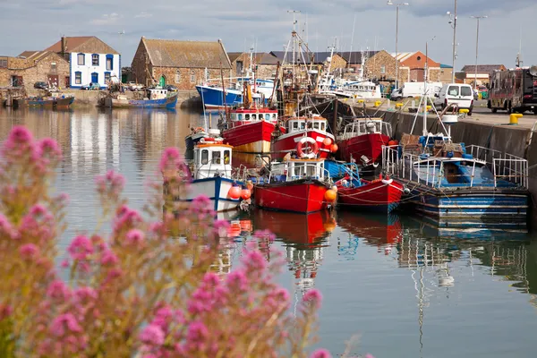 Howth harbour — Stock Photo, Image