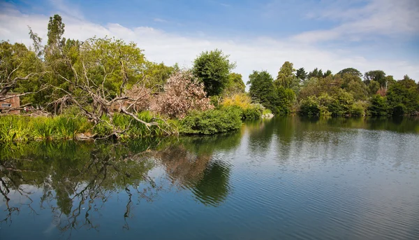 Озеро в парке Феникс — стоковое фото