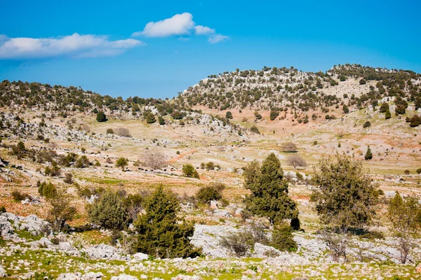 Rurale landschap in Turkije — Stockfoto