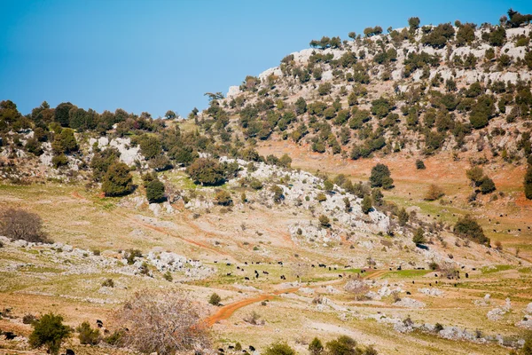 Paisagem rural em Turquia — Fotografia de Stock