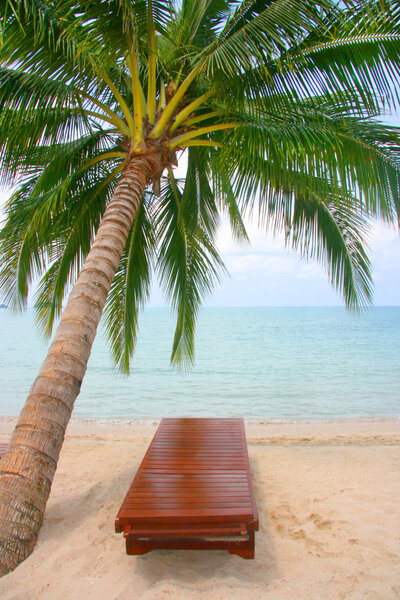 Canvas chair on tropical beach