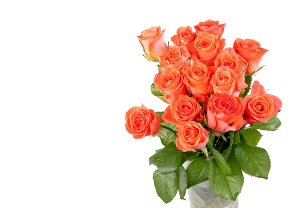 Gyönyörű friss vörös rózsa csokor — Stock Fotó