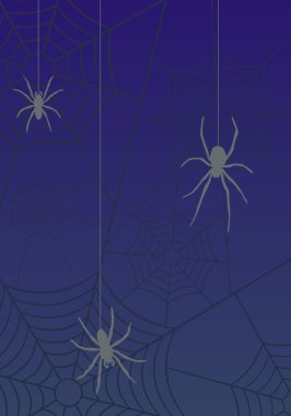 mavi arka plan üstünde örümcek ağı
