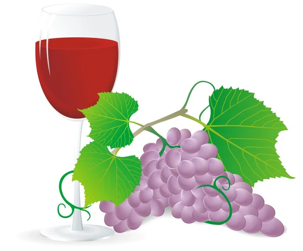 葡萄和葡萄酒 — 图库矢量图片
