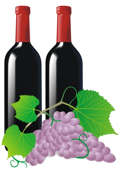 Uva e vinho — Vetor de Stock