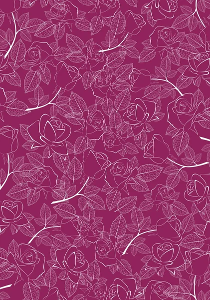 Ροζ σύνορα με λευκό τριαντάφυλλο — Διανυσματικό Αρχείο