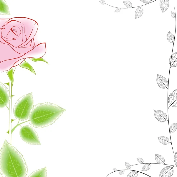 Троянди boder — стоковий вектор