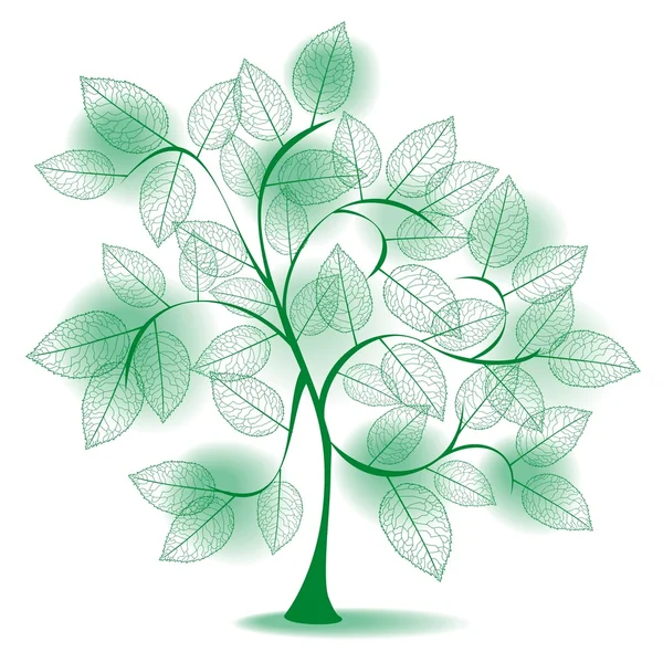 Green tree silhouette — Stock Vector