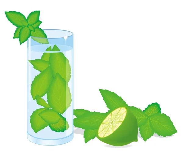 Mohito cocktail with green mint and lime — Stock Vector