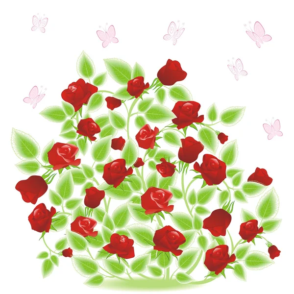 Rosa arbusto con mariposa — Vector de stock