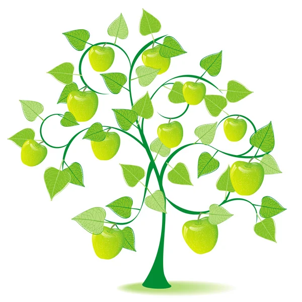 Яблоня в зеленое лето — стоковый вектор