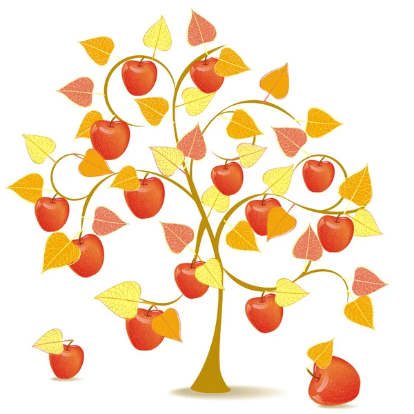 Apple tree in yellow autumn — Stock Vector