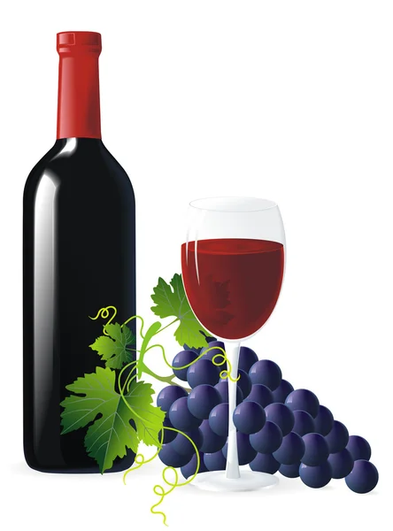 Blaue Trauben und Wein — Stockvektor