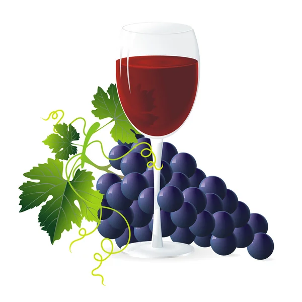 蓝色葡萄和葡萄酒 — 图库矢量图片