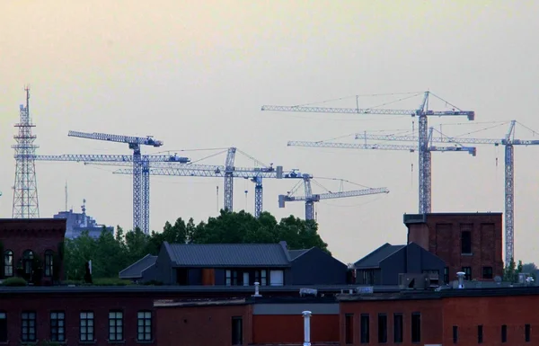 Sky full cranes — Stock Photo, Image