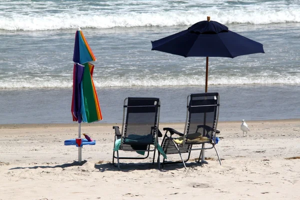 Empty beach chairs — Stock Photo, Image