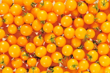 Cherry tomato. clipart