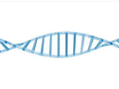 dna spiral