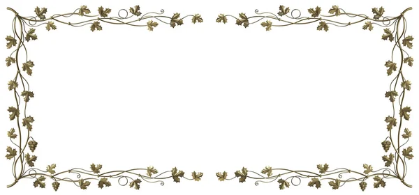 Grapevine frame — Stock Photo, Image