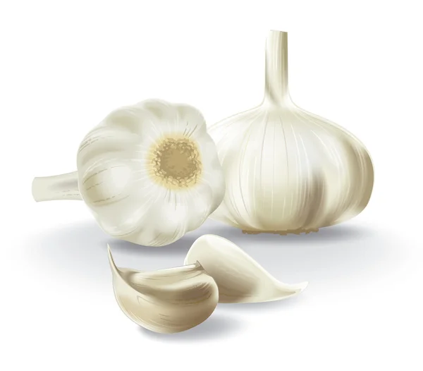 stock image Garlic composition