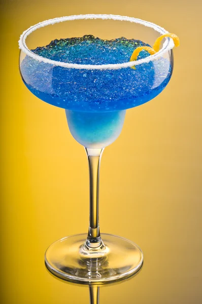Margarita de cobalto — Foto de Stock