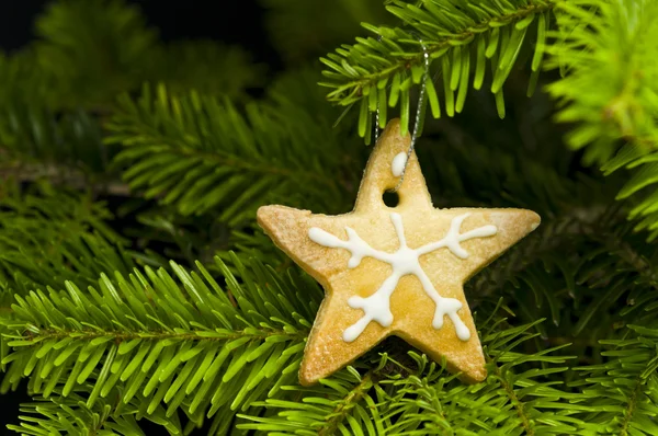 Star shape short bread cookie — Stock Photo, Image