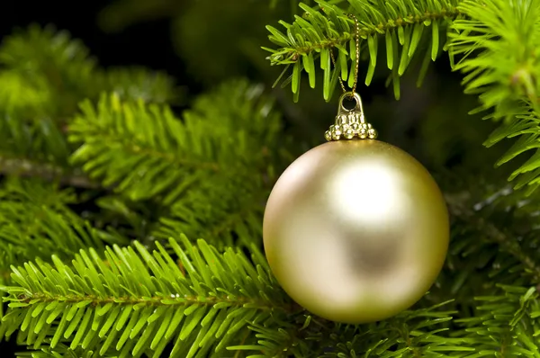 Forma de bola decoração de árvore de Natal — Fotografia de Stock