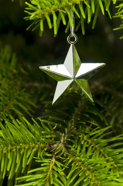 Рождественская ёлка в форме звезды — стоковое фото