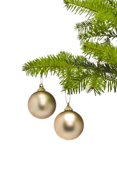 Duas bolas de decoração dourada no ramo da árvore de Natal — Fotografia de Stock