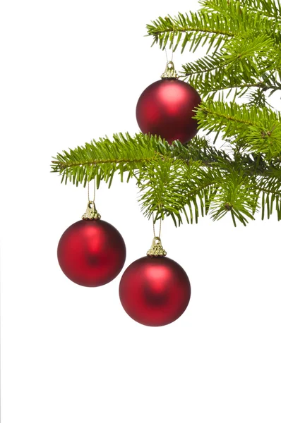 Três bolas de decoração vermelha no ramo da árvore de Natal — Fotografia de Stock