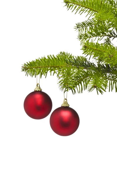 Duas bolas de decoração vermelha no ramo da árvore de Natal — Fotografia de Stock