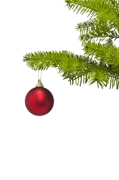 Eine rote Dekorationskugel im Weihnachtsbaumzweig — Stockfoto