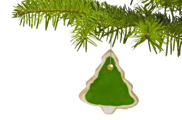 Ramo de uma árvore de Natal decorada com biscoito — Fotografia de Stock