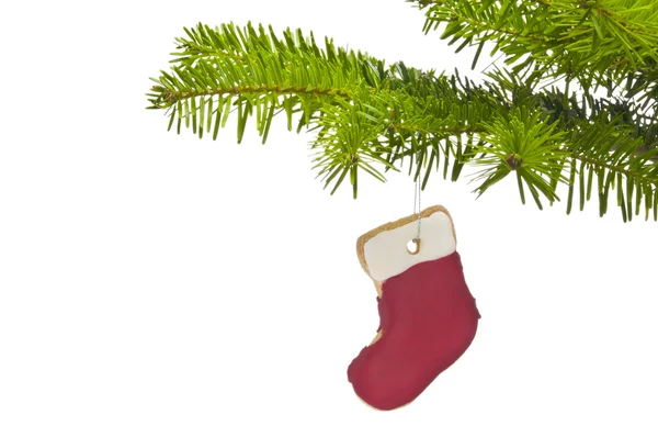 Ramo de uma árvore de Natal decorada com biscoito — Fotografia de Stock