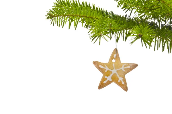 Ramo di un albero di Natale decorato con biscotto — Foto Stock