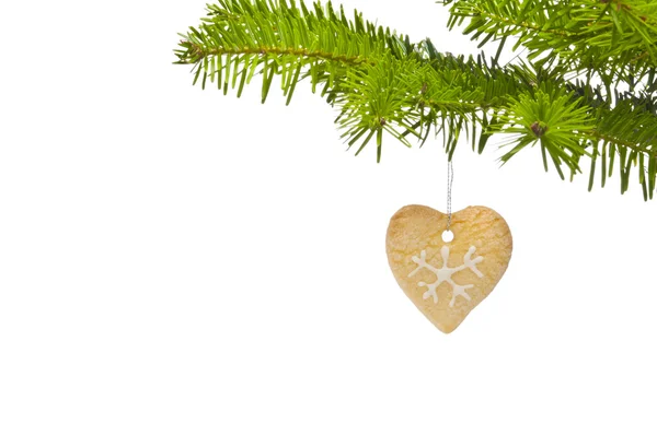 Tak van een kerstboom die versierd met cookie — Stockfoto