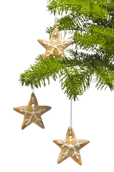 Biscoitos de forma de estrela de árvore como decoração de árvore de Natal — Fotografia de Stock