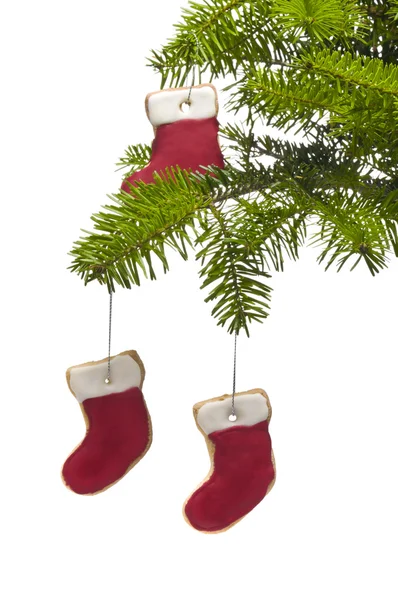Boom aanwezig sok vorm cookies als decoratie in een kerstboom — Stockfoto